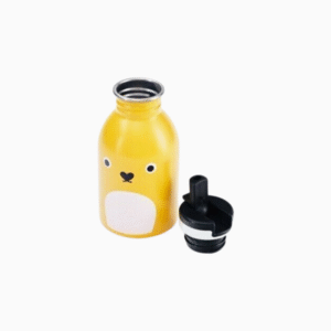 250ml kids stainless steel water bottle with sports lid