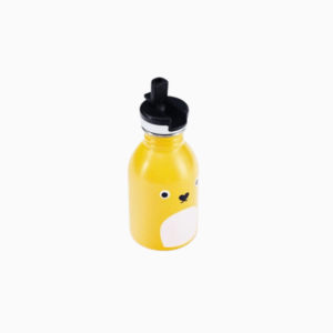 250ml kids stainless steel water bottle with sports lid