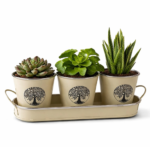 Tree of Life Indoor Plant Pots
