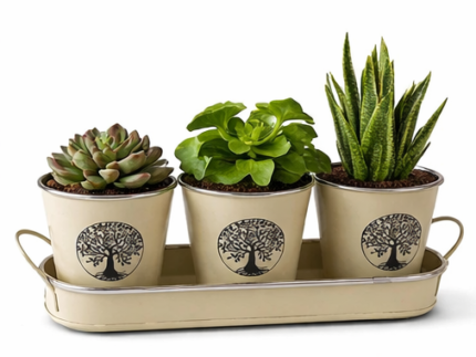 Tree of Life Indoor Plant Pots