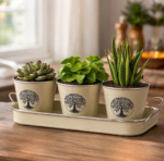Tree of Life Indoor Plant Pots