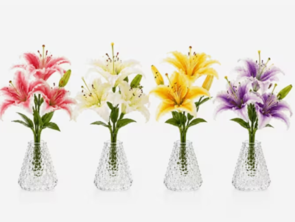 Clear Glass Vases