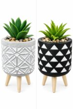 Plant Pots