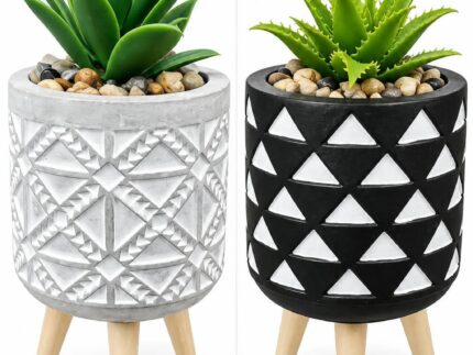 Plant Pots