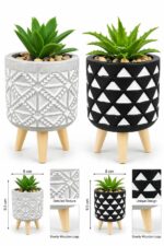 Plant Pots