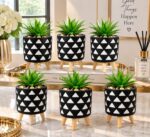 Plant Pots