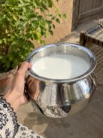 Stainless Steel Serving Bowls