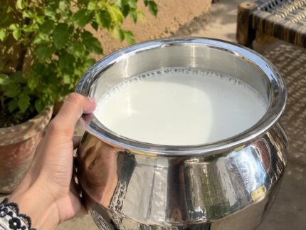 Stainless Steel Serving Bowls