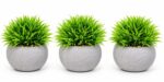 Artificial Plant Pots