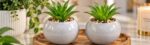 Artificial Plant Pots