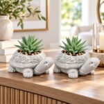 Decorative Planters