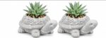 Decorative Planters