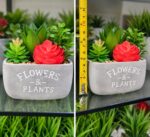 Decorative Planters
