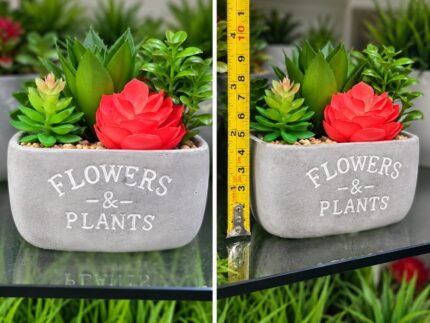 Decorative Planters