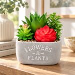 Decorative Planters