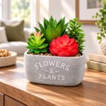 Decorative Planters