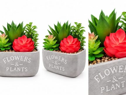 Decorative Planters